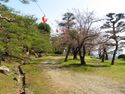 NaganoYokoyamajou (2).JPG