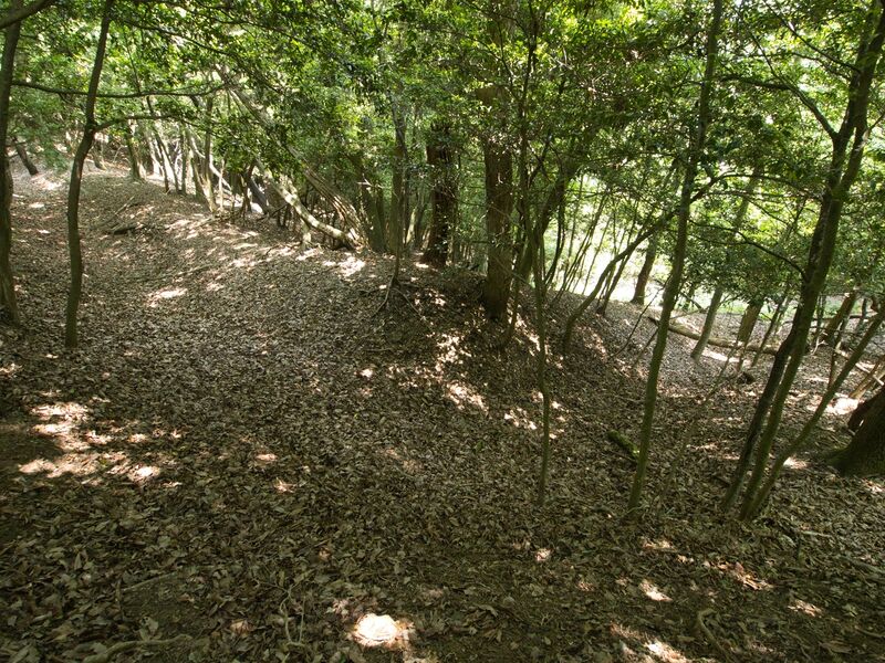 File:Nyoigatake6.jpg
