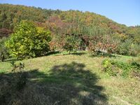 TagoYakata (12).jpg