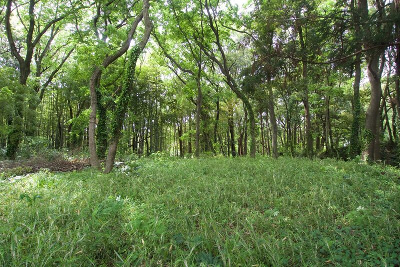 File:Takai1.jpg