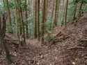 Yakamitanba55.jpg