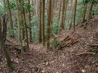 Yakamitanba55.jpg