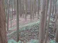 Furumiyajou (3).JPG