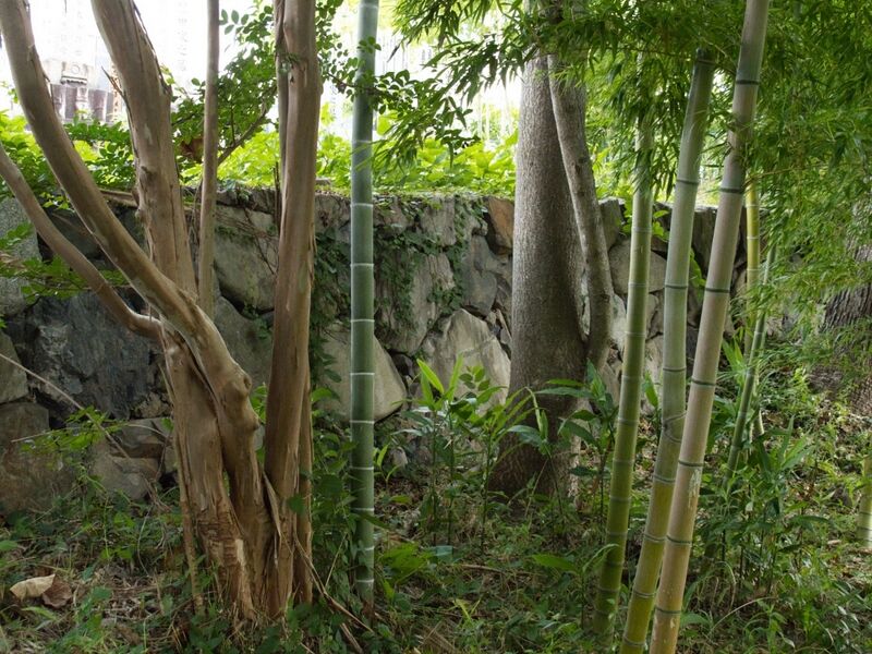 File:Fushimi45.jpg