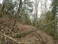 Thumbnail for version as of 00:04, 25 March 2023