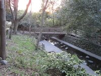 Izumigashirajou (2).JPG