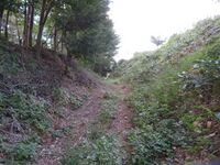 KitaKumai (68).JPG