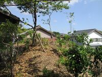 MikawaNishiachiwajou (4).JPG