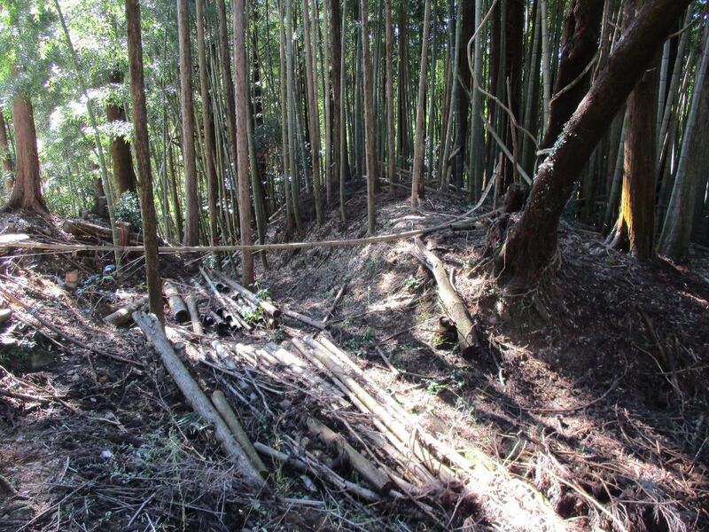 File:NukataTashirojou001.jpg