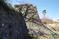 Ojima4.jpg