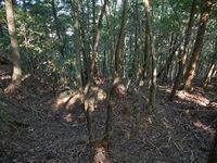 Shiogai12.jpg