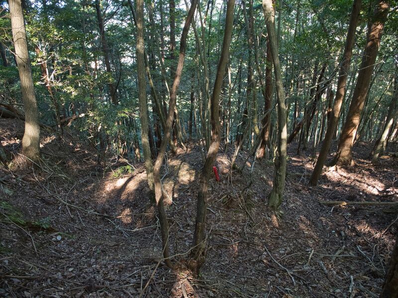 File:Shiogai12.jpg