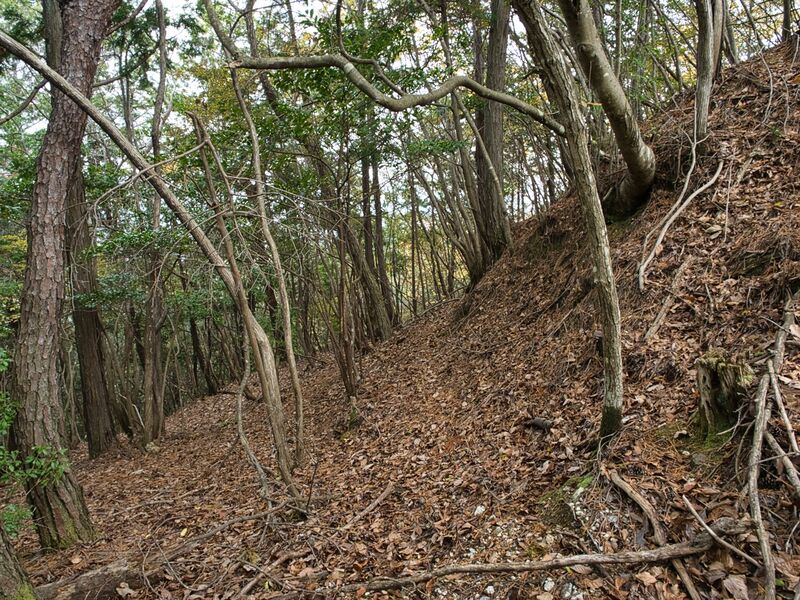 File:Shishiudokyoto4.jpg