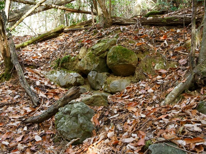 File:Shizuharasouth14.jpg