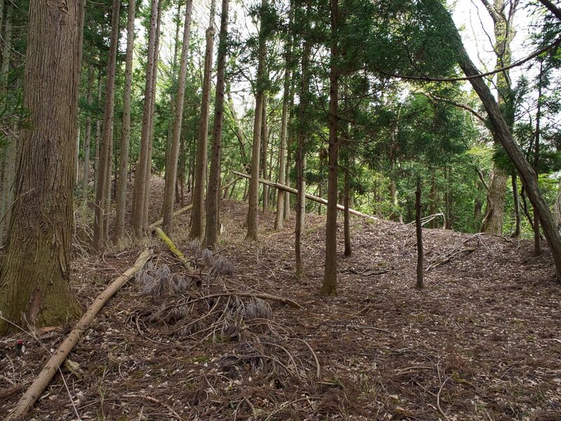 File:Shobudani39.jpg