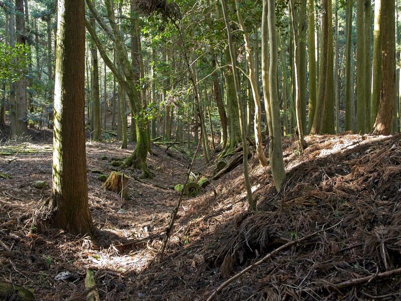 File:Kurokawashi21.jpg