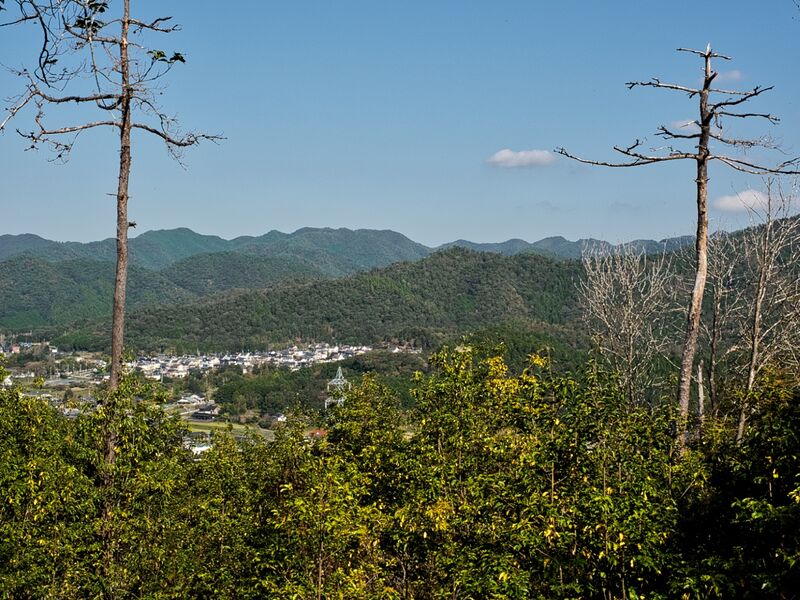 File:Shiogai7.jpg