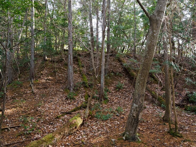 File:Shizuharasouth8.jpg