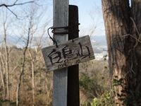 Shogunyama34.jpg