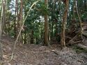 Tenjinyamashizu19.jpg