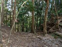 Tenjinyamashizu19.jpg