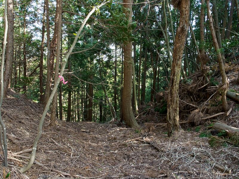 File:Tenjinyamashizu19.jpg