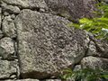 Thumbnail for version as of 21:45, 15 September 2024