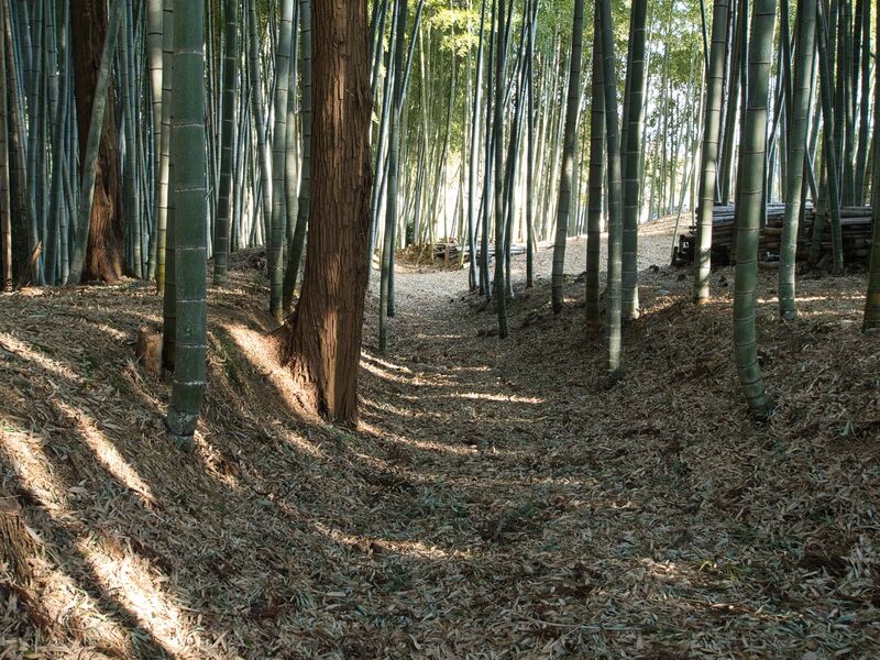 File:Uchikoshikoka13.jpg