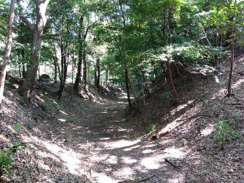 File:ARTIwasakijou01.5.jpg