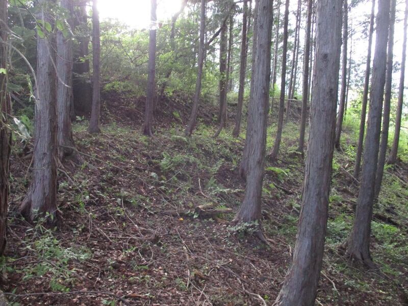 File:AzumiNakajimajou (4).jpg