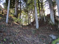 InaYoshiokajou04.5.JPG