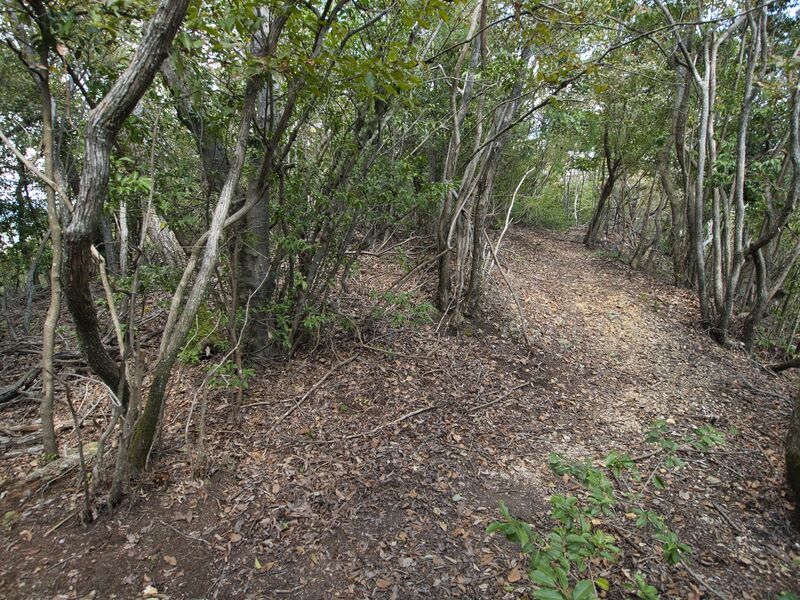 File:Matsugasakikyoto6.jpg