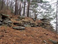 Matsuoko7.jpg