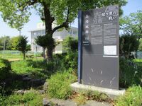 MinoTakasujou (37).jpg