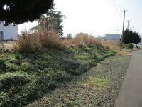 ObamahanShuukouanuraDaiba (2).JPG