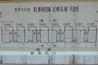 Shibata17.jpg