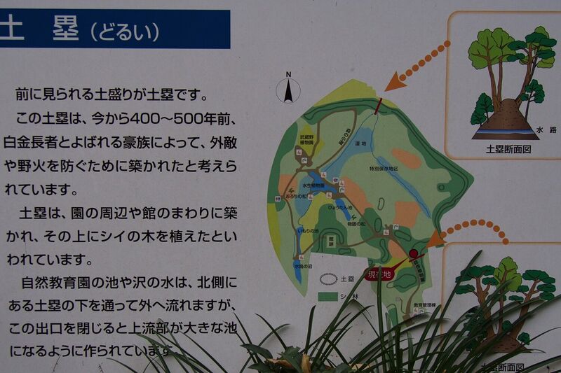File:Shirogane5.jpg