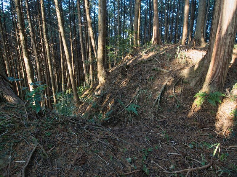File:Uenokoka7.jpg