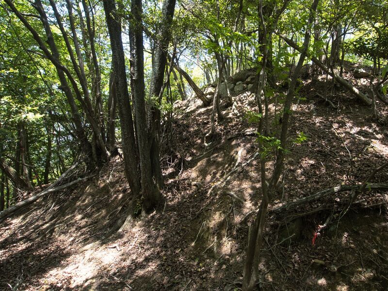 File:Yagitanba51.jpg