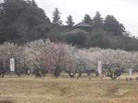 MitojouKoubuntei026.jpg