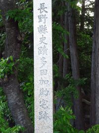 NakagayaYakata (6).JPG