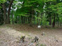 Tagamiyama38.jpg