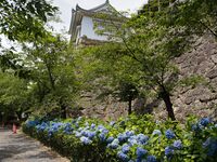 Tsuyama36.jpg