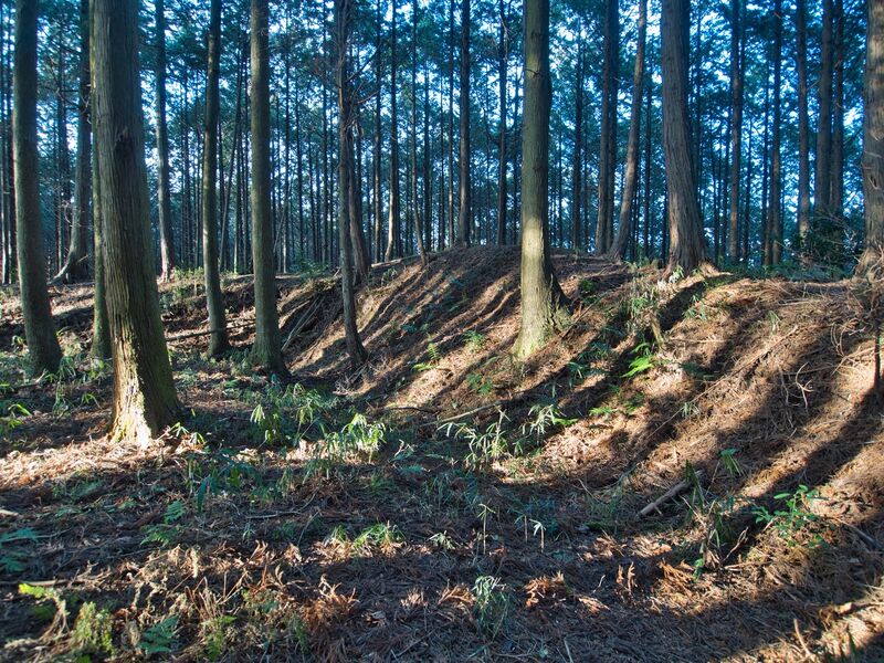 File:Uenokoka8.jpg