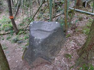 Usami nakoyama quarry1.jpg
