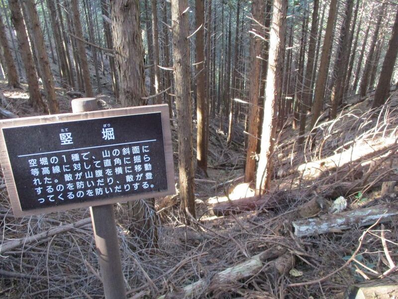 File:Bodaiyamajou 020.jpg