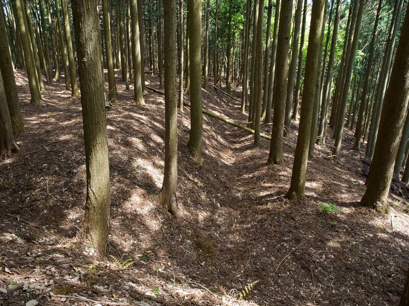 File:Dogiyama14.jpg
