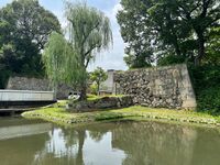 Himejimiddlemoat20.jpg