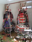 InaWadajou35.JPG