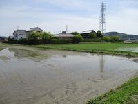 MikawaUrabejou (1).JPG
